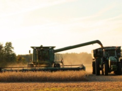 Zbiory zbóż w Rosji osiągnęły prawie 120 mln ton