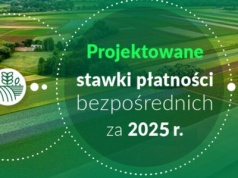 Znamy projektowane stawki płatności bezpośrednich za 2025 r.