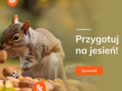 Promocje dnia – 3.10.2025: Woblink na jesień, Publio do 15 zł, Literackie, Prószyński, Star Wars, Luneta, Karakter, Szubrycht