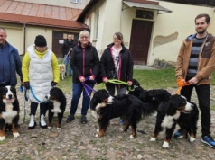 W niedzielę można przyjść na Mszę z psem czy kotem