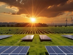 WISE ENERGY w pierwszym półroczu 2025 notuje 56 mln zł przychodów ze sprzedaży i 4,7 mln zł zysku netto