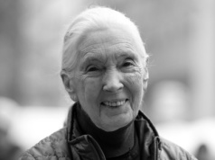 Jane Goodall - cytat o różnicy między wandalizmem a postępem