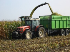 03.10.2025 Ceny skupu zbóż, kukurydzy, oleistych i strączkowych: propozycje za mokrą kukurydzę rozpoczynają się od 370 zł/t
