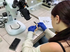 Lekcja biologii z wykorzystaniem technologii. Projekt naukowy wykładowców UKW