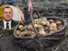 Minister w RMF FM: Myślę, że rolnicy by się na to zgodzili
