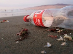 Czarny grzyb zmienia plastik w jedzenie. Zaskakujący pomysł Niemców