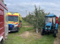 Tragedia w trakcie zbiorów jabłek w powiecie sandomierskim