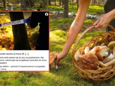 Grzybiarze szturmują polskie lasy. Policja opublikowała ważny apel. 