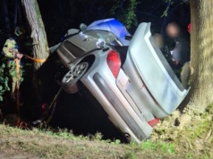 Ominęła sarnę i wjechała pomiędzy drzewa. Kobieta trafiła do szpitala