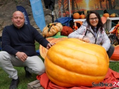 Kolorowo, smacznie i pachnąco na 9. Święcie Dyni. 146-kilogramowa dynia rekordzistką