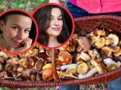 Grzyby zbierają od dziecka. Dla początkujących grzybiarzy mają jedną radę