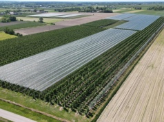 Ile ziemi ma przeciętny rolnik? ARiMR podaje: 11,75 ha w 2025 roku