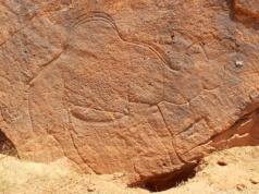 Odkrycia na pustyni Nefud. 12-tysięczne grawerunki naskalne zmieniają historię Arabii