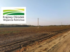 Rolnicy mogą oddać ziemię i dostać nowe grunty od KOWR. Sprawdź procedurę