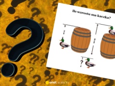 Ile wzrostu ma kaczka? Podchwytliwa zagadka na logiczne myślenie