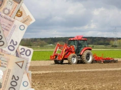 Ceny ziemi w 2025 biją rekordy. Ile mleka za jeden hektar?