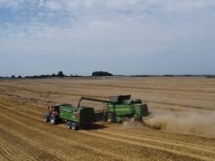 Rolnicy oceniają: Sezon był trudny, choć w niektórych regionach udało się zebrać dobry plon