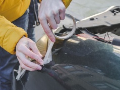 Patent z taśmą, o którym mało kto wie. Tak spryciarze chronią się przed rachunkiem od mechanika