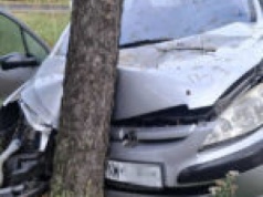 Wypadek pod Nowogrodem Bobrzańskim. Osobówka rozbita o drzewo (ZDJĘCIA)