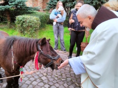 Msza święta z błogosławieństwem zwierząt w Tarnowie