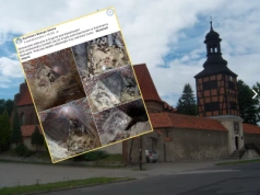 Unikatowe odkrycie pod Koninem. Naukowcy weszli do zamkniętej krypty