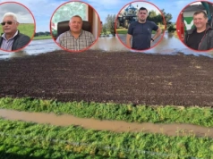 400 litrów deszczu na metr. Rolnicy z Warmii: ozimin nie da się siać, wszystko pod wodą