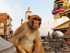Bezpieczeństwo w Nepalu. Czy Nepal jest bezpieczny?