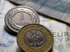Złoty w konsolidacji. Rynek czeka na decyzję RPP