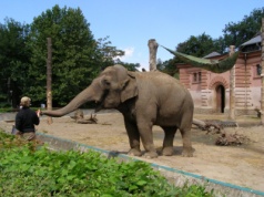 Wrocławskie ZOO blokuje ujawnienie umów z prawnikami