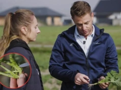 Regulacja i ochrona rzepaku jesienią: terminy, środki i najważniejsze zasady
