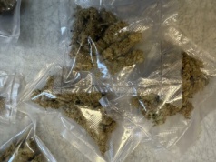 Mefedron, marihuana i grzybki halucynogenne – 33-latek w rękach policji