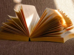 Jesteś chodzącą biblioteką? Sprawdź swoją wiedzę w quizie