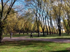 W Parku Śląskim powstanie arboretum. Zielona przestrzeń będzie zlokalizowana od strony Katowic