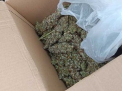 Nowogrodziec: wpadli z marihuaną. Jeden z niewielką ilością, drugi z… 145 GRAMAMI