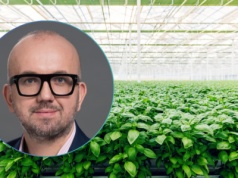 SVI o branży hydroponicznej i bezpieczeństwie żywnościowym: 
