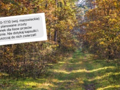 Alert RCB dla trzech województw. Pilny apel do mieszkańców