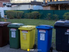 Kto nie musi płacić za wywóz śmieci? Trzeba spełnić jeden warunek