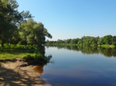 Rusza projekt ratowania mokradeł pod Warszawą