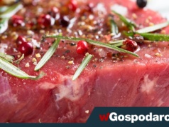 Masz niski poziom żelaza? Zobacz jak temu zaradzić