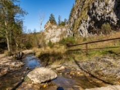 Wąwóz Homole – Rezerwat Przyrody i Perła Małych Pienin