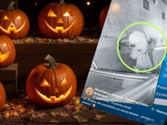 Wywieszono ozdoby Halloweenowe. Kamera uchwyciła, co o 3 w nocy zrobiła obca kobieta. 
