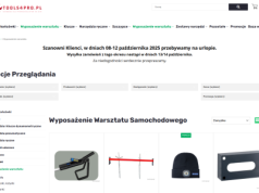 Mobilne wyposażenie warsztatu samochodowego - jak stworzyć stanowisko serwisowe w terenie?