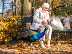 Komentarz do Ewangelii, 11 października 2025