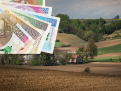 Modernizacja gospodarstw rolnych - jest jeszcze szasna na złożenie wniosku o płatność końcową