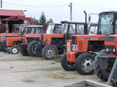 MTZ-82: Najtańsze używane 80 koni z napędem 4×4. Co można kupić za 30 tys. zł?