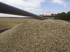 System kaucyjny na produkty z Ukrainy miał zapewnić bezpieczeństwo polskich rolników