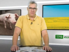 Zboża obrodziły wszędzie. Rolnicy pytają: kto za to zapłaci?