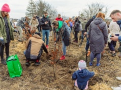 W Gdańsku rozpoczął się sezon jesiennych nasadzeń drzew