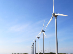 Farmy wiatrowe zmieniają klimat gleby, siejąc spustoszenie w populacjach ptaków i nietoperzy