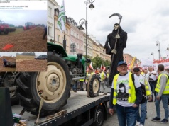 Kolejny dramat rolnika! Wysypał na pole 150 t ziemniaków